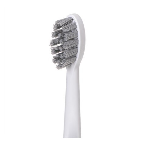 Adler | 2-in-1 Water Flossing Sonic Brush | AD 2180w | Rechargeable | For adults | Number of brush heads included 2 | Number of - 11
